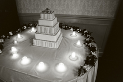 This MI wedding photographer shoots wedding photography and gives you all the wedding photos