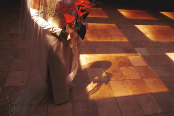 Michigan wedding photojournalist is a michigan wedding photographer who captures moments