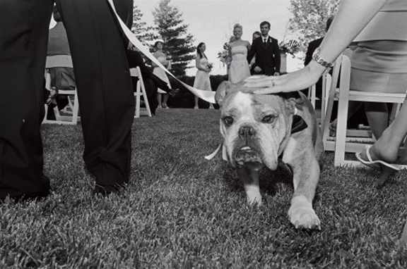 Detroit wedding photojournalist takes candid wedding photography in Michigan