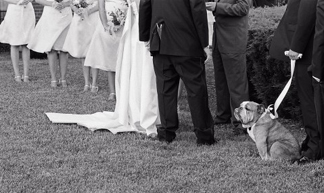 Michigan wedding photojournalist is a MI wedding photographer who captures moments