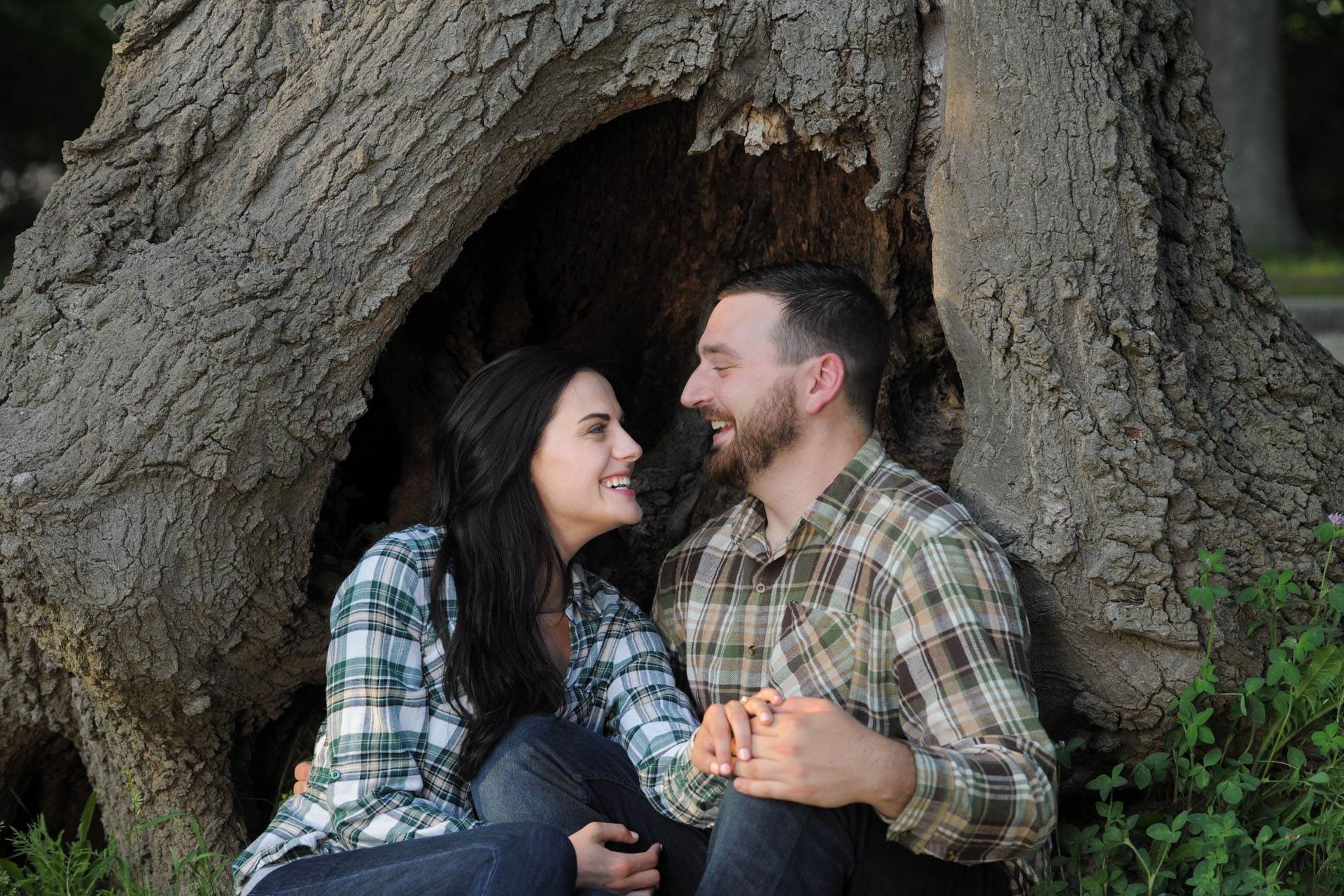 A fun and engagement photos of a couple in a tree having a cute moment in the metro Detroit, Michigan area.