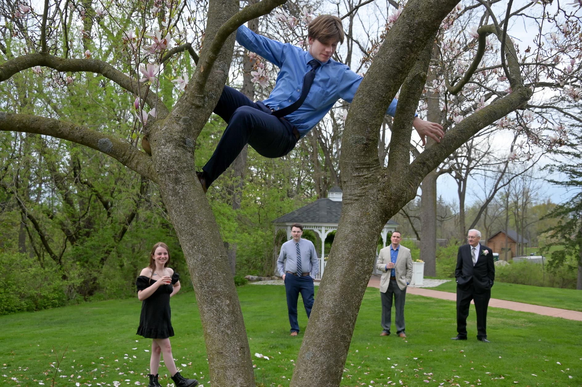 During cocktail hour, some monkey guests decided to climb a tree at the Longacre House in Farmington, Michigan.