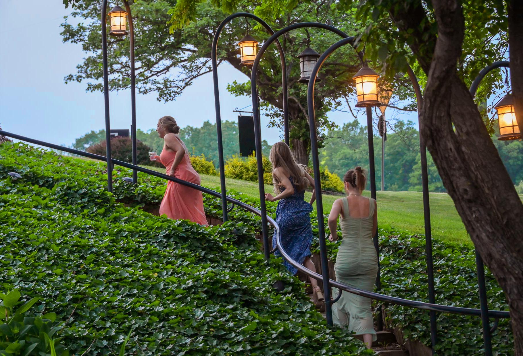 Wedding guests go exploring at twilight at the Wellers in Saline, Michigan.