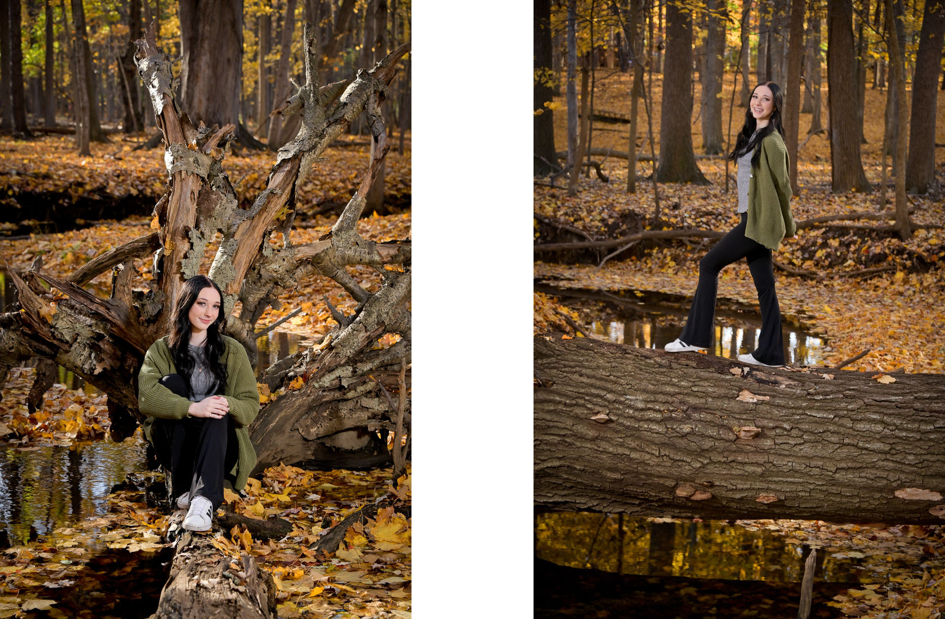Troy senior playing on trees with yellow fall leaves near Troy, Michigan.