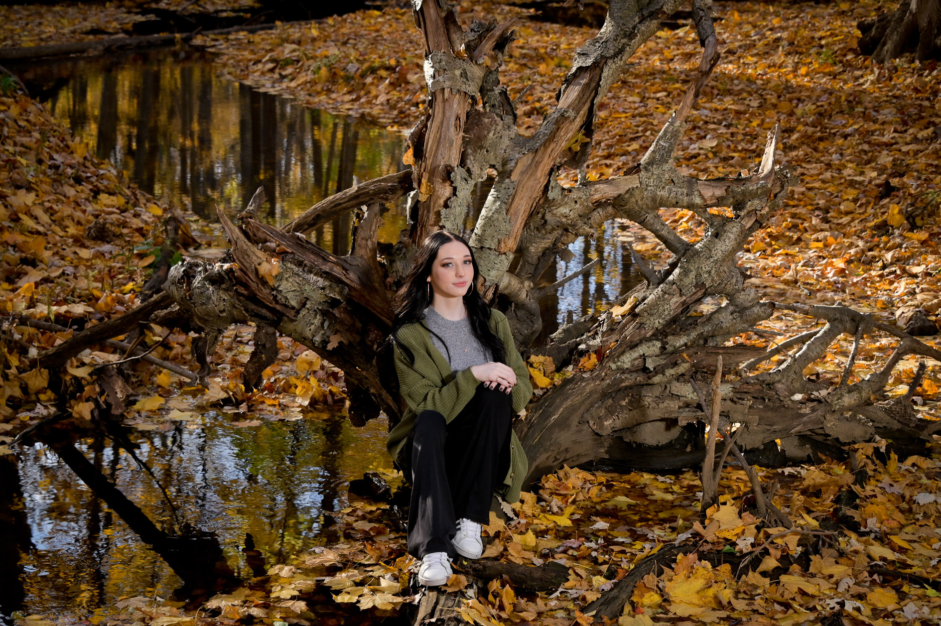 Troy senior with a fallen tree with lots of fall colors near Troy, Mich.
