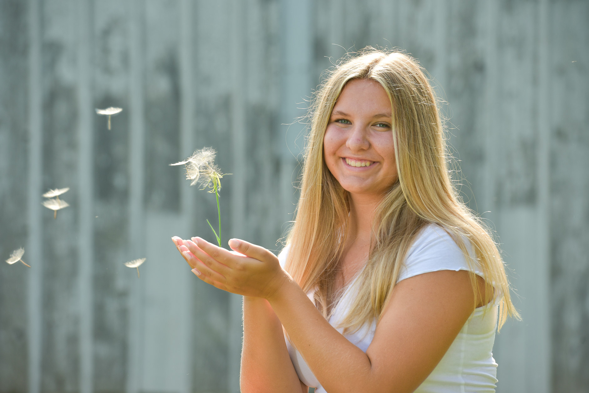 In the fall there are lots of seeds to blow for senior pictures in Troy, Michigan.