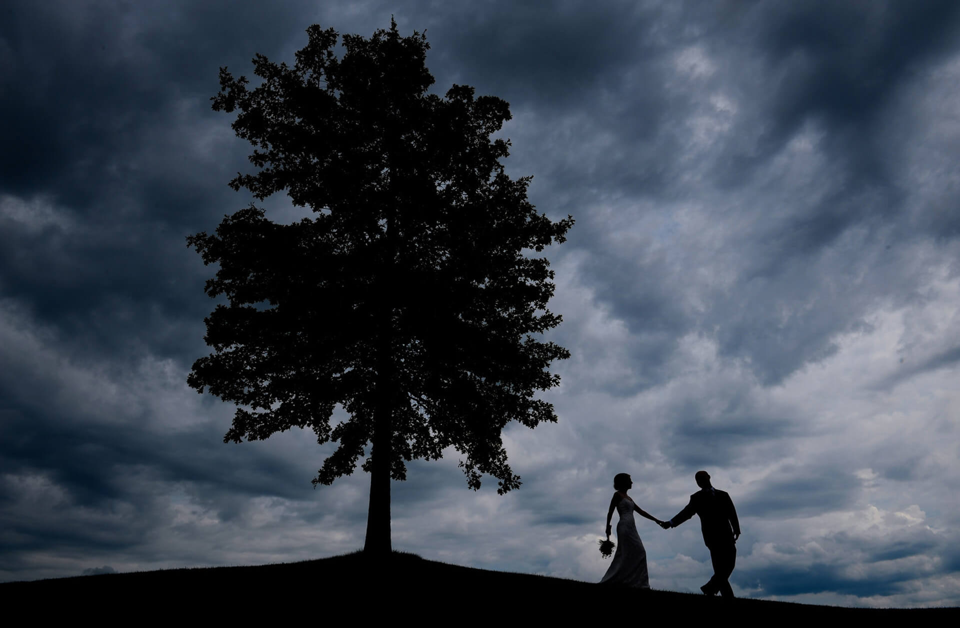 A stormy day made for a cool, dramatic wedding portrait of the bride and groom at the Coyote Preserve in metro Detroit, Michigan.