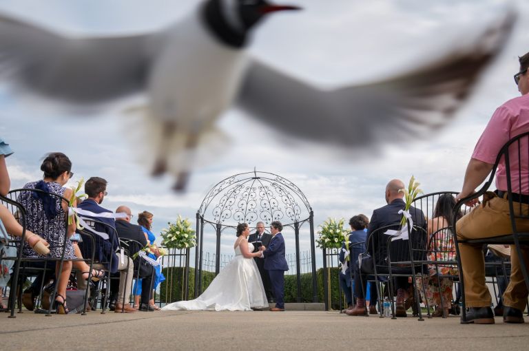 A pesky seagull zooms at the photographer during a wedding ceremony at Detroit's Roostertail.